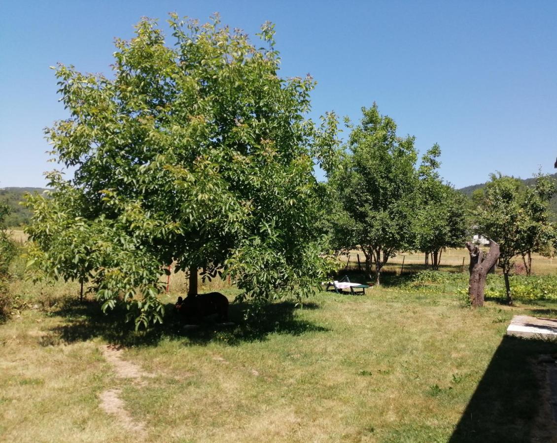 House Natali Apartman Vrhovine Kültér fotó